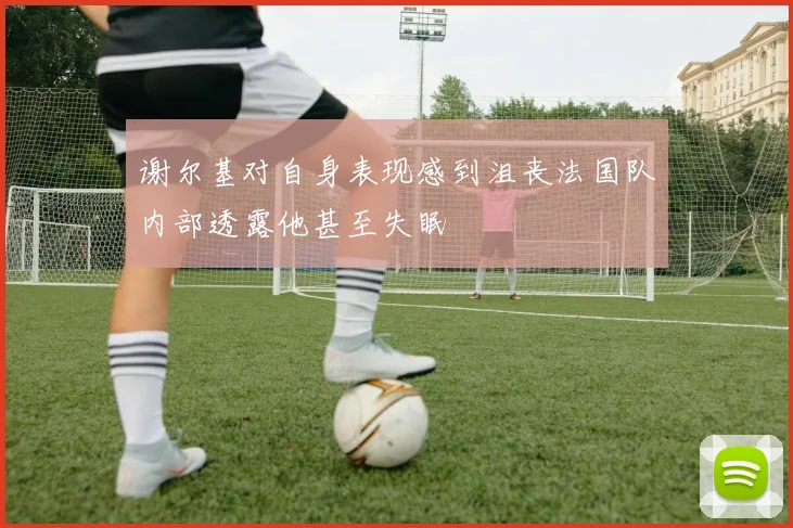 谢尔基对自身表现感到沮丧法国队内部透露他甚至失眠