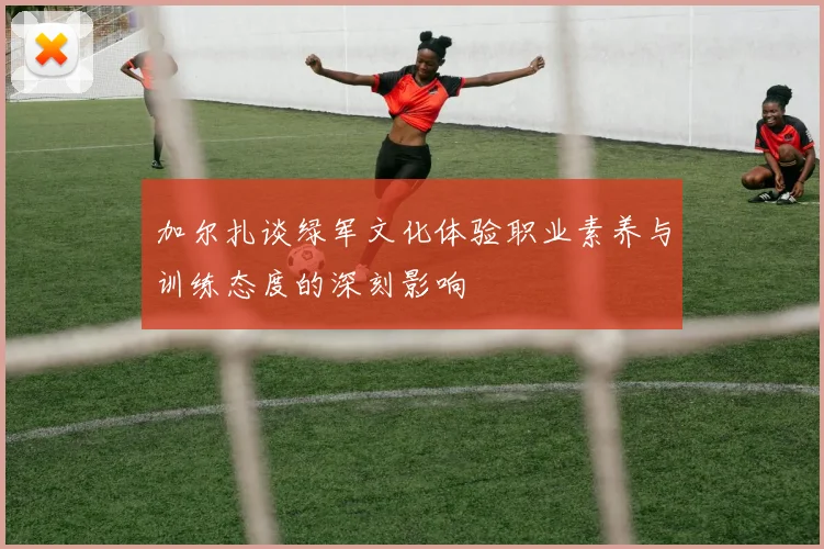 加尔扎谈绿军文化体验职业素养与训练态度的深刻影响
